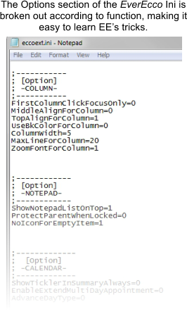 The Options section of the EverEcco Ini is broken out according to function, making it easy to learn EEs tricks.